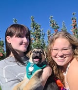 Pet care in Clarington - Dog Walker/occasional sitter needed