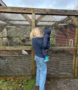 Nanny/Babysitter in Richmond - Macie C.