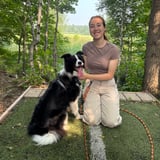 Pet care in Brossard - Mava C.