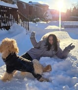 Pet care in Toronto - Maria Fernanda A.