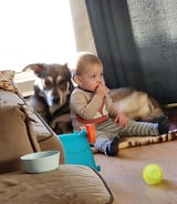 Nanny/Babysitter in Calgary - Nanny