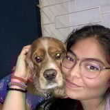 Pet care in Surrey - Perla G.