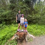 Nanny/Babysitter in Mission - Responsible, good communication, understanding