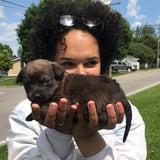 Pet care in Montreal - Cali R.