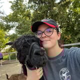 Nanny/Babysitter in Hamilton - Ellysa H.