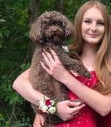 Pet care in Laval - Koryne C.