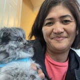 Pet care in Toronto - Maribel T.