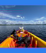 Pet care in Quebec - Stephanie C.