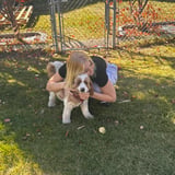 Pet care in Calgary - Savanna K.