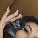Pet care in Montreal - Rihab B.