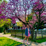 Nanny/Babysitter in Hamilton - Kaia D.