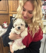 Pet care in Edmonton - Lexie B.