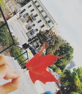 Nanny/Babysitter in Montreal - Caring love in nanny