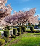 Cook in Burnaby - Home Cook