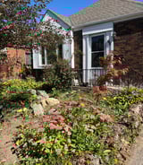 Housekeeper in Hamilton - Looking for someone to help me organize and clean with potentially some babysitting if they want to!