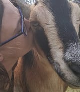 Pet care in Edmonton - Cassandra-Rae B.