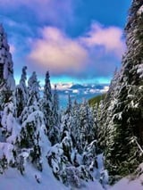 Nanny/Babysitter in West Vancouver - Nanny/ Housekeeping