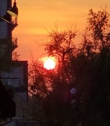 Caregiver in Edmonton - Trusted Active care companion(experienced, first aid, HCA training bring added benefits).