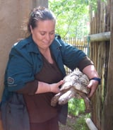 Pet care in Calgary - Emese Z.