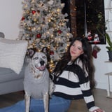 Pet care in Victoria - Jayde S.