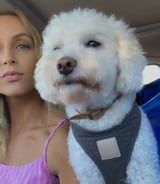 Pet care in Pontiac - Natasha K.