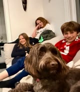 Nanny/Babysitter in Calgary - Seeking Part-Time Nanny to Drive and Help with Older Kids After-School