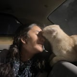 Pet care in Montreal - Niki H.