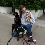 Housekeeper in Toronto - Irina S.