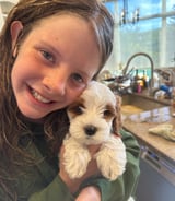 Housekeeper in Okotoks - Our blend of puppy care for our in house therapy dog company, and household tasks