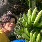 Housekeeper in Montreal - Damarys O.