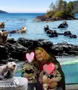 Nanny/Babysitter in Delta - Amanda R.