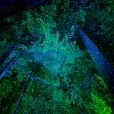 Caregiver in North Saanich - Ima M.