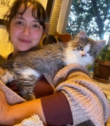 Pet care in Toronto - Hannah D.