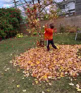 Nanny/Babysitter in Ottawa - Mother’s helper.