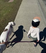 Nanny/Babysitter in Mission - Part-Time Morning Nanny Needed (Work-From-Home Mom Support)