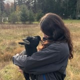 Pet care in Victoria - Amaraya W.