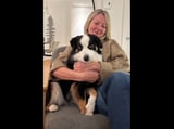 Pet care in Victoria - Sheena W.