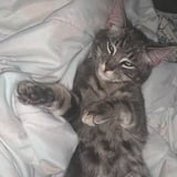 Pet care in Winnipeg - Keandra N.