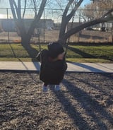 Driver in Winnipeg - Easy Nanny + Driver