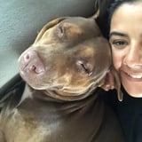 Pet care in Toronto - Luana N.