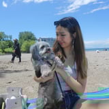 Pet care in Thorold - Jessica L.