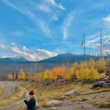 Housekeeper in Calgary - Hailey E.