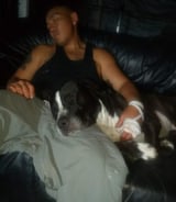 Pet care in Toronto - Alex T.
