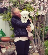 Pet care in Toronto - Katie S.