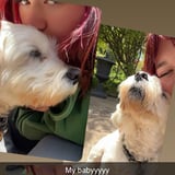 Pet care in Welland - Darrah S.