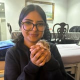 Nanny/Babysitter in Vaughan - Alina K.