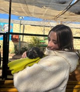 Pet care in Mont-Royal - Flavie B.