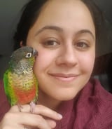 Nanny/Babysitter in Gatineau - Elian A.