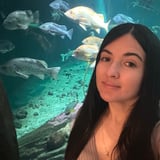 Pet care in Vernon - Tania L.