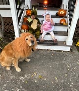 Nanny/Babysitter in Abbotsford - Part time nanny/babysitter